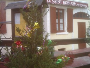 Christmas at Saint Bernards