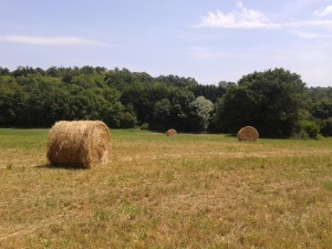 Fields surrounding La Giraudiere.